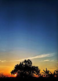 Low angle view of silhouette trees against sky during sunset