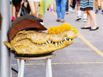 Low section of crocodile head on chair