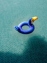 High angle view of toy floating on swimming pool