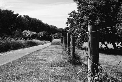 Road amidst trees on field against sky