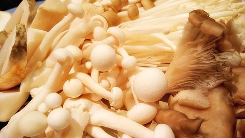 Close up of eggs