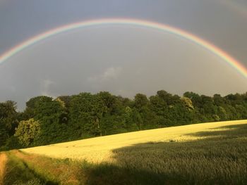 rainbow