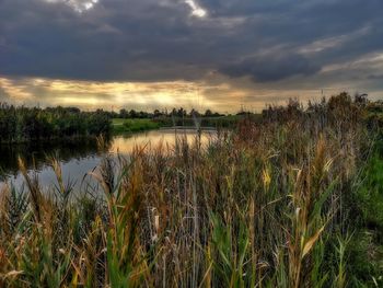 Scenic view of lake against sky during sunset