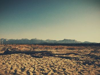 Scenic view of landscape against clear sky
