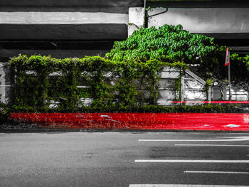 Red road by building in city