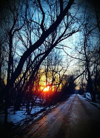Silhouette bare trees by road against sky during sunset