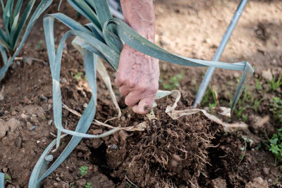 Low section of man working