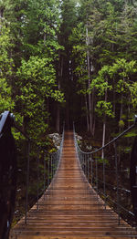 Footbridge amidst trees in forest