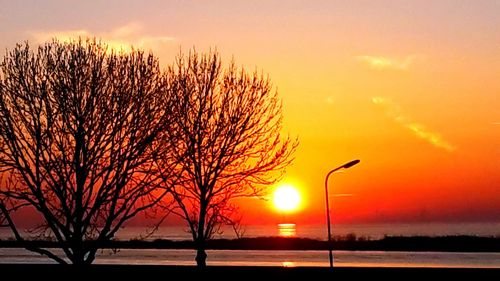 Silhouette bare tree against sea during sunset