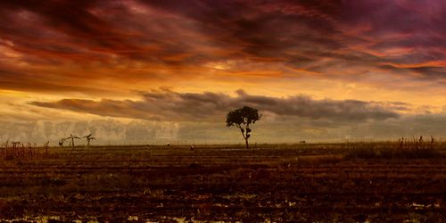 Scenic view of field against sky during sunset