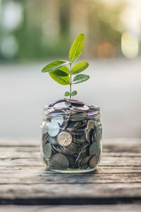 Close-up of coins in jar on table