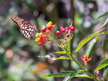 beauty in nature