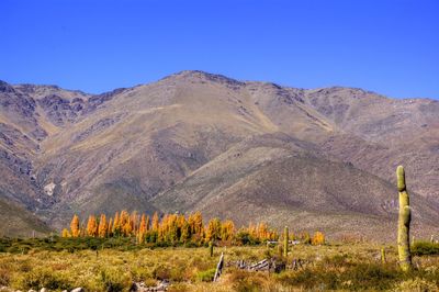 Scenic view of mountains against clear blue sky