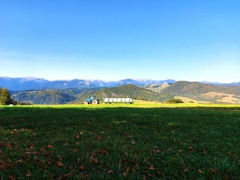 Scenic view of field against clear blue sky