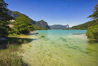 Scenic view of lake against clear blue sky