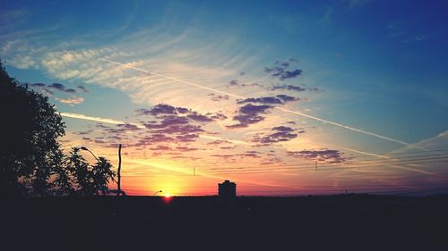 Silhouette of trees at sunset