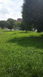 Scenic view of park against sky