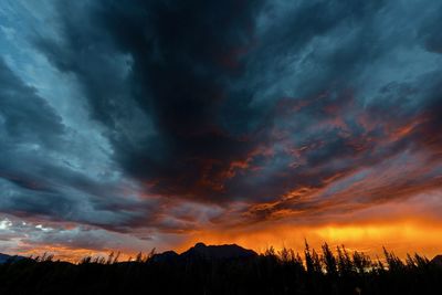 Silhouette trees against dramatic sky during sunset