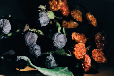 Close-up of flowers