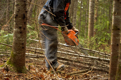 Low section of man standing in forest