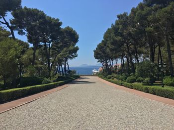 Road passing through trees against clear sky