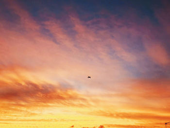 Low angle view of orange sky