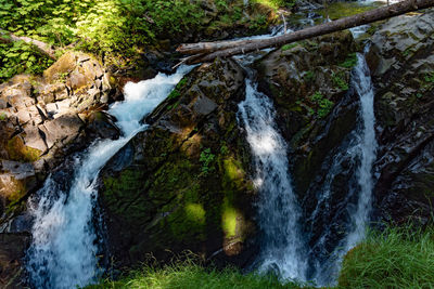 Scenic view of waterfall in forest