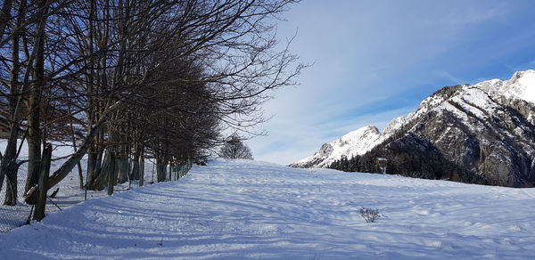 Scenic view of snow covered trees against sky