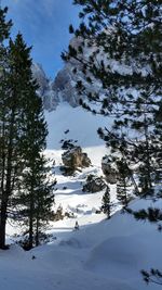 Snow covered landscape