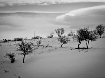 Scenic view of snow covered field