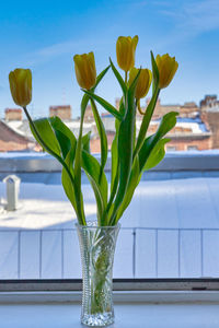 Close-up of flower vase against glass window