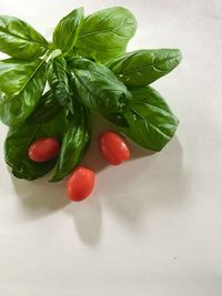 High angle view of cherry tomatoes on table