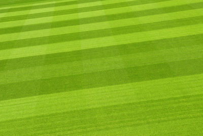 Full frame shot of green background