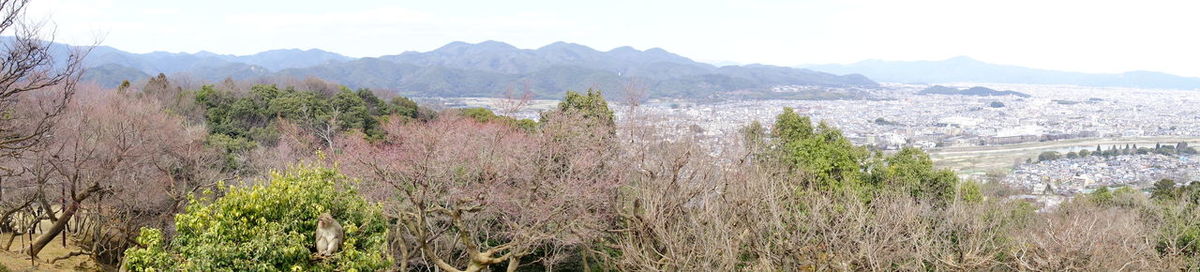 Panoramic view of landscape against sky