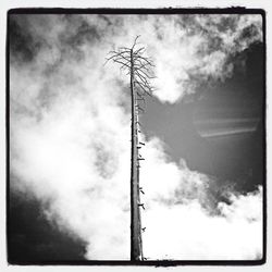 Low angle view of cloudy sky