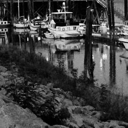 Boats moored at harbor