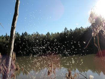 Scenic view of lake against sky on sunny day