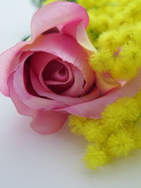 Close-up of rose bouquet