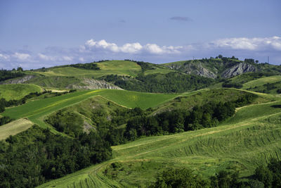 Scenic view of landscape against sky