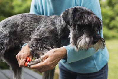 Midsection of senior woman cutting dog's nails at yard