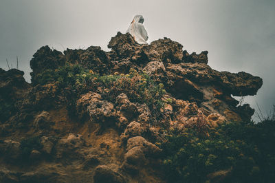 Low angle view of bird perching on rock