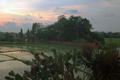 Scenic view of field against sky during sunset