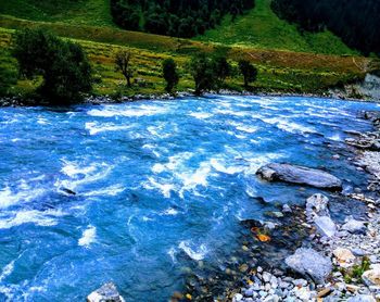 Scenic view of river flowing in forest