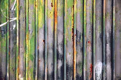 Full frame shot of bamboo