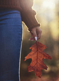 Close-up of hand holding maple leaf during autumn