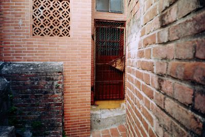 Window of house