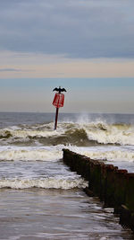 Man with umbrella on beach against sky