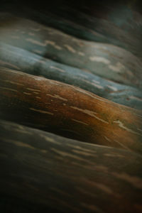 Full frame shot of gourds