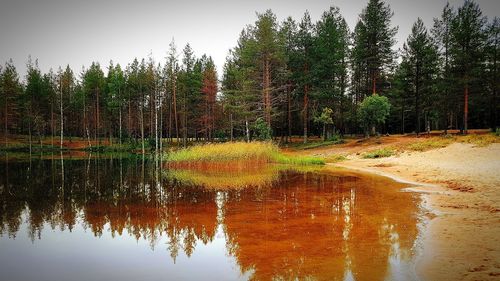 Scenic view of lake in forest against sky