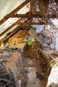 High angle view of abandoned building amidst plants